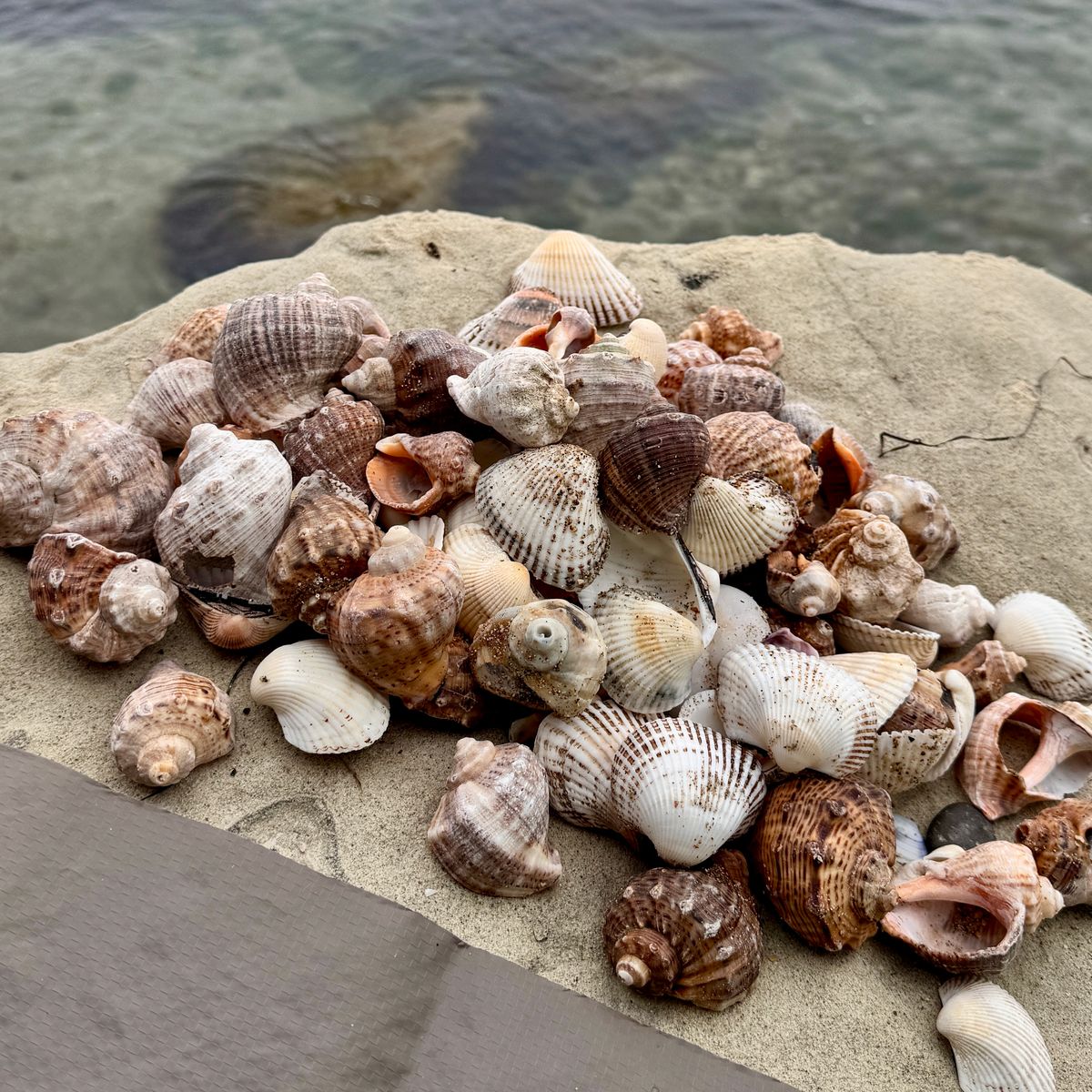 Yolun Sessiz Tanıkları: Kıyıdan Gelen Hatıralar / Silent Witnesses: Memories from the Shore