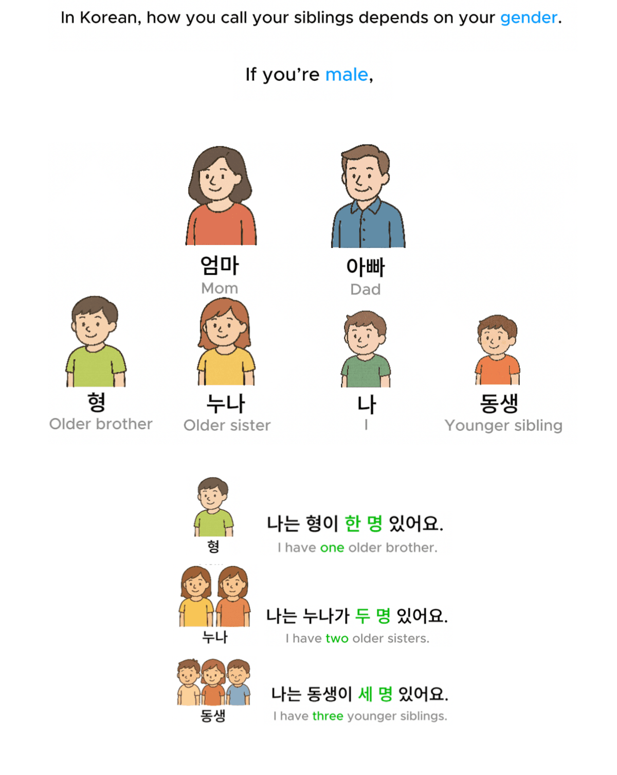 For Men - How to Call Your Siblings in Korean
