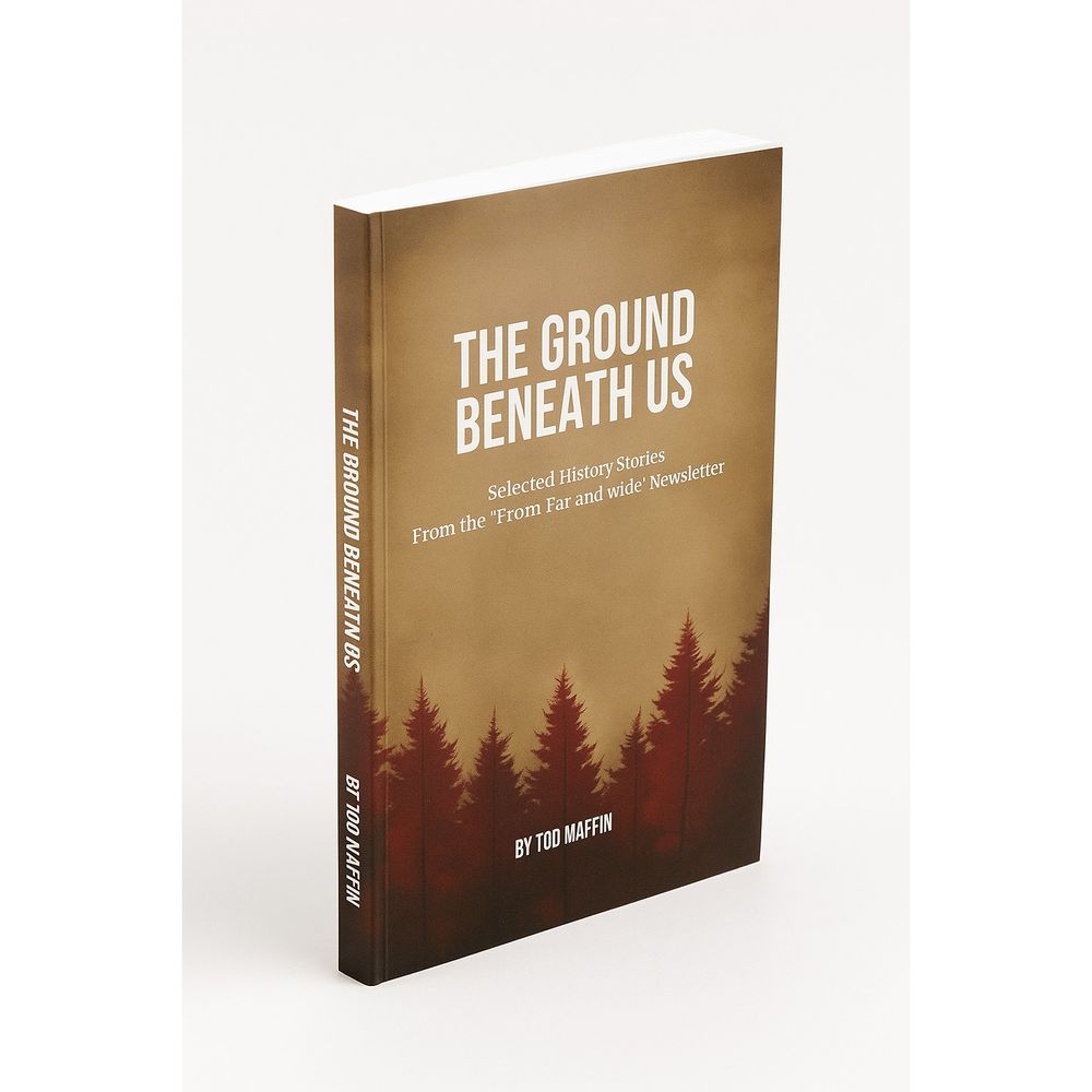 The Ground Beneath Us (e-book)
