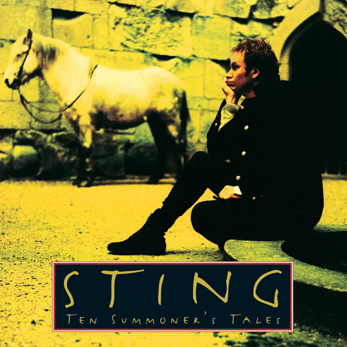 Sting - Fields Of Gold (Isolated)