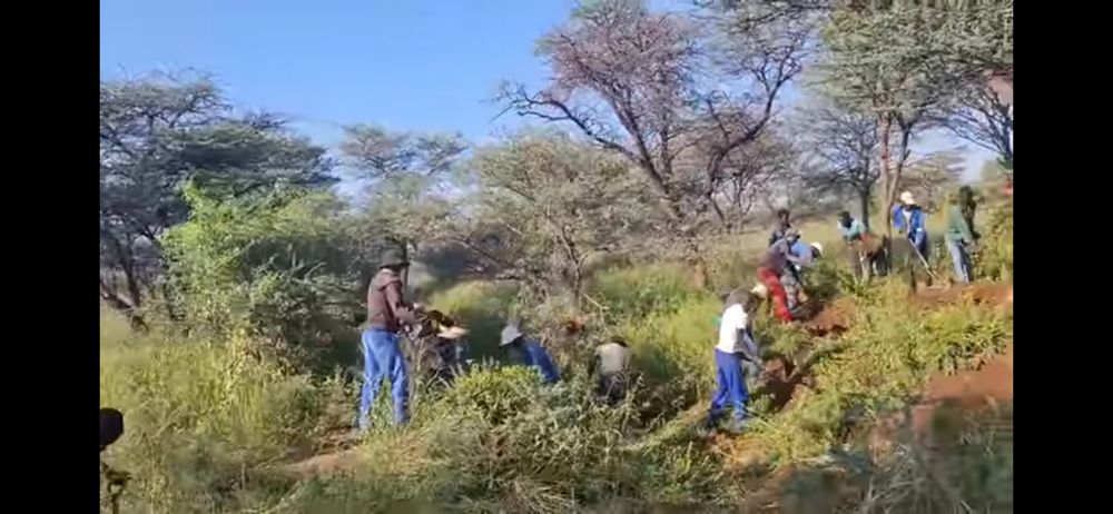 Employing One Namibian person for a day.