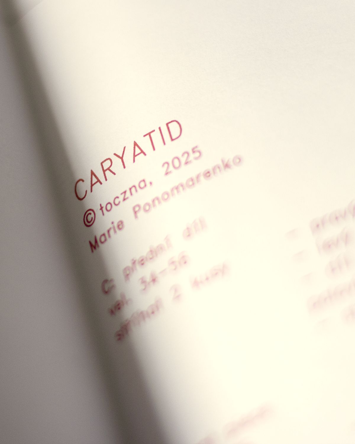 (EN) CARYATID - sewing pattern for a versatile dress, sizes 34 to 56