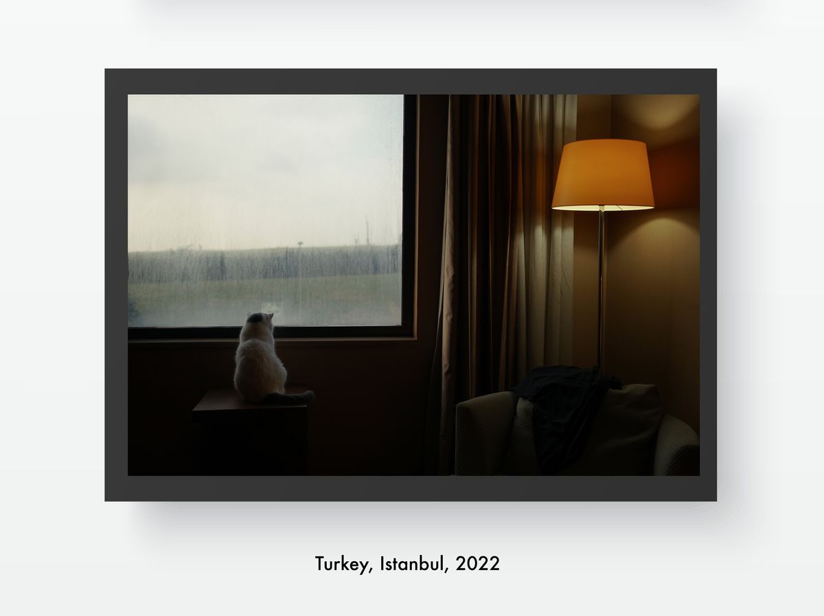 Receive a signed print of my photography