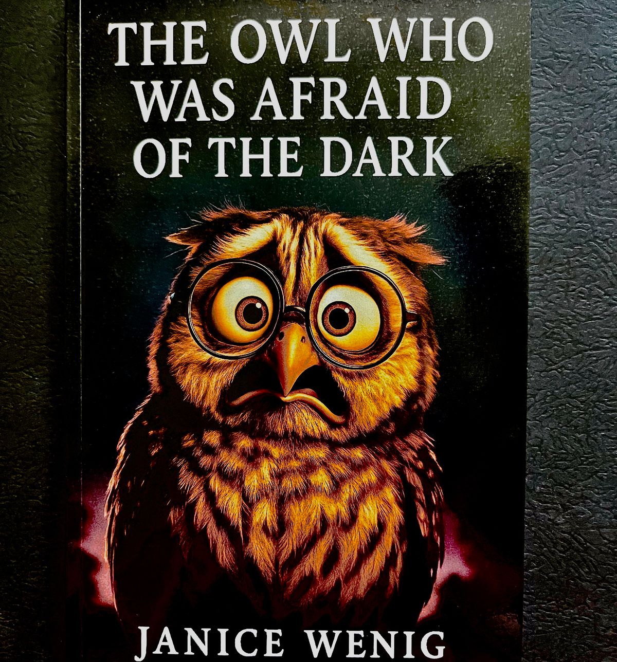 The Owl Who was Afraid of the Dark