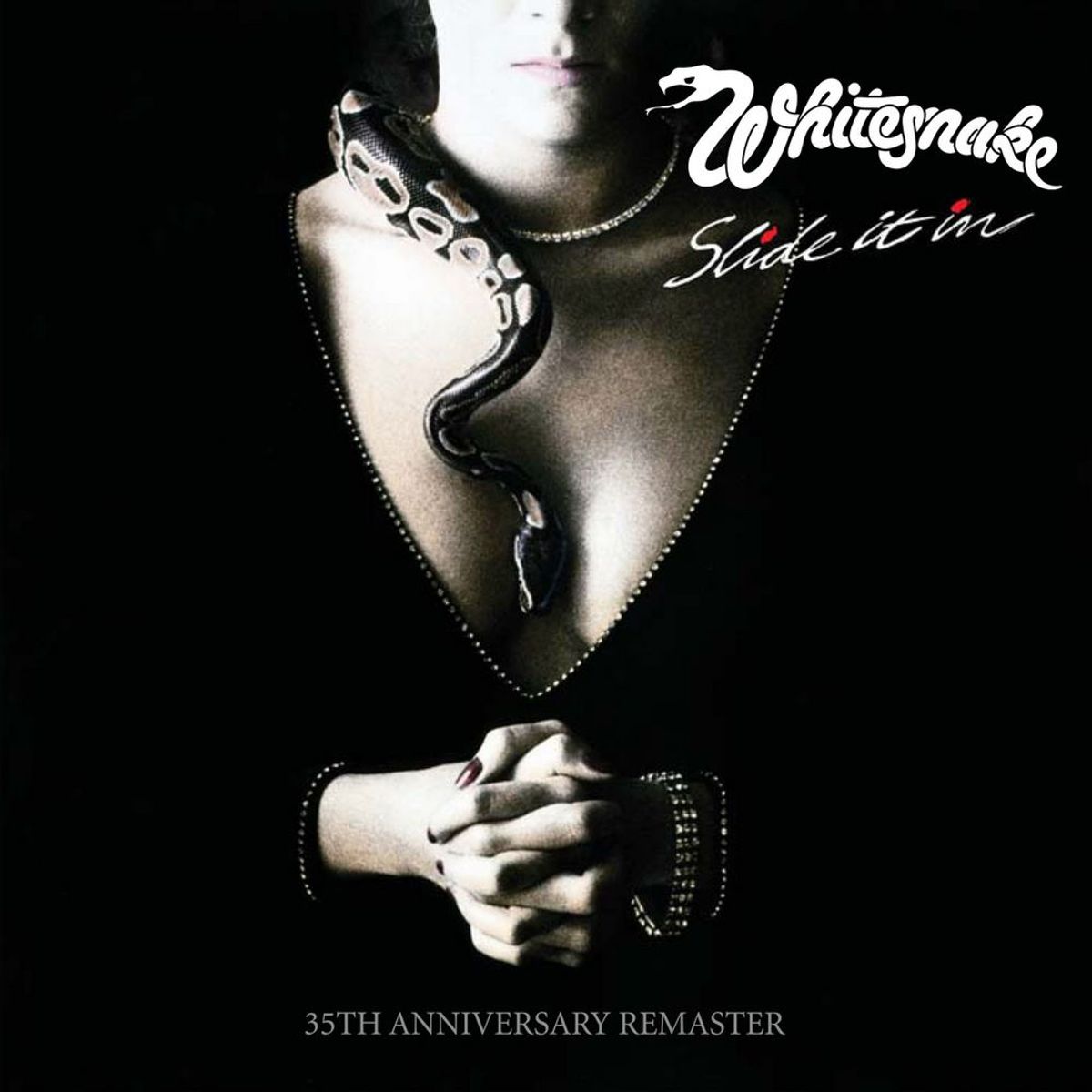 Whitesnake - Love Ain't No Stranger (Isolated)