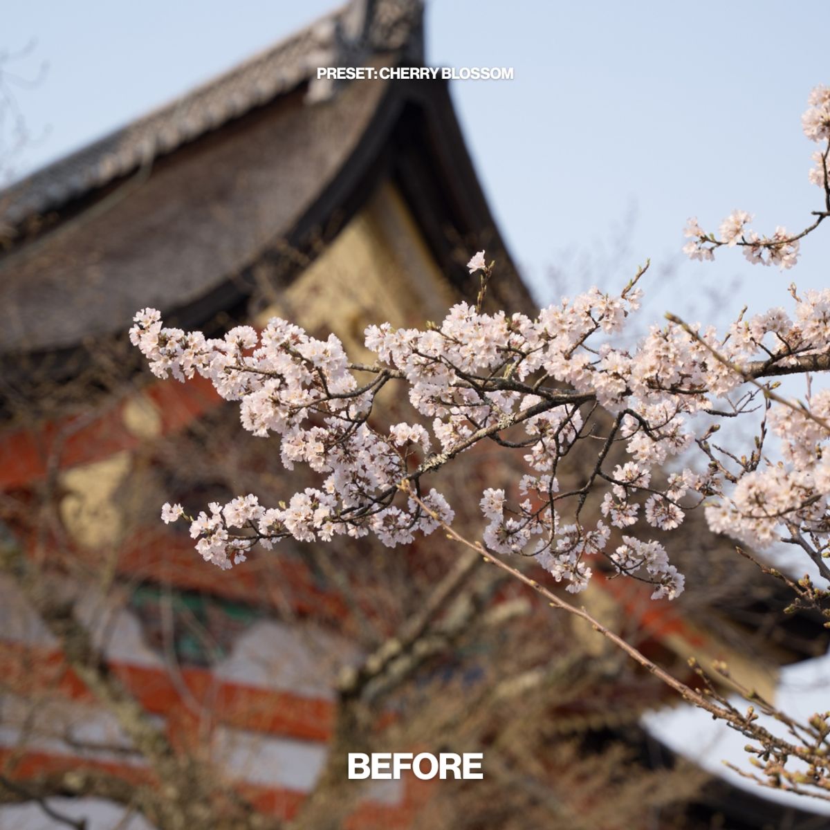 'The Cinematic Pack' Lightroom Preset Bundle