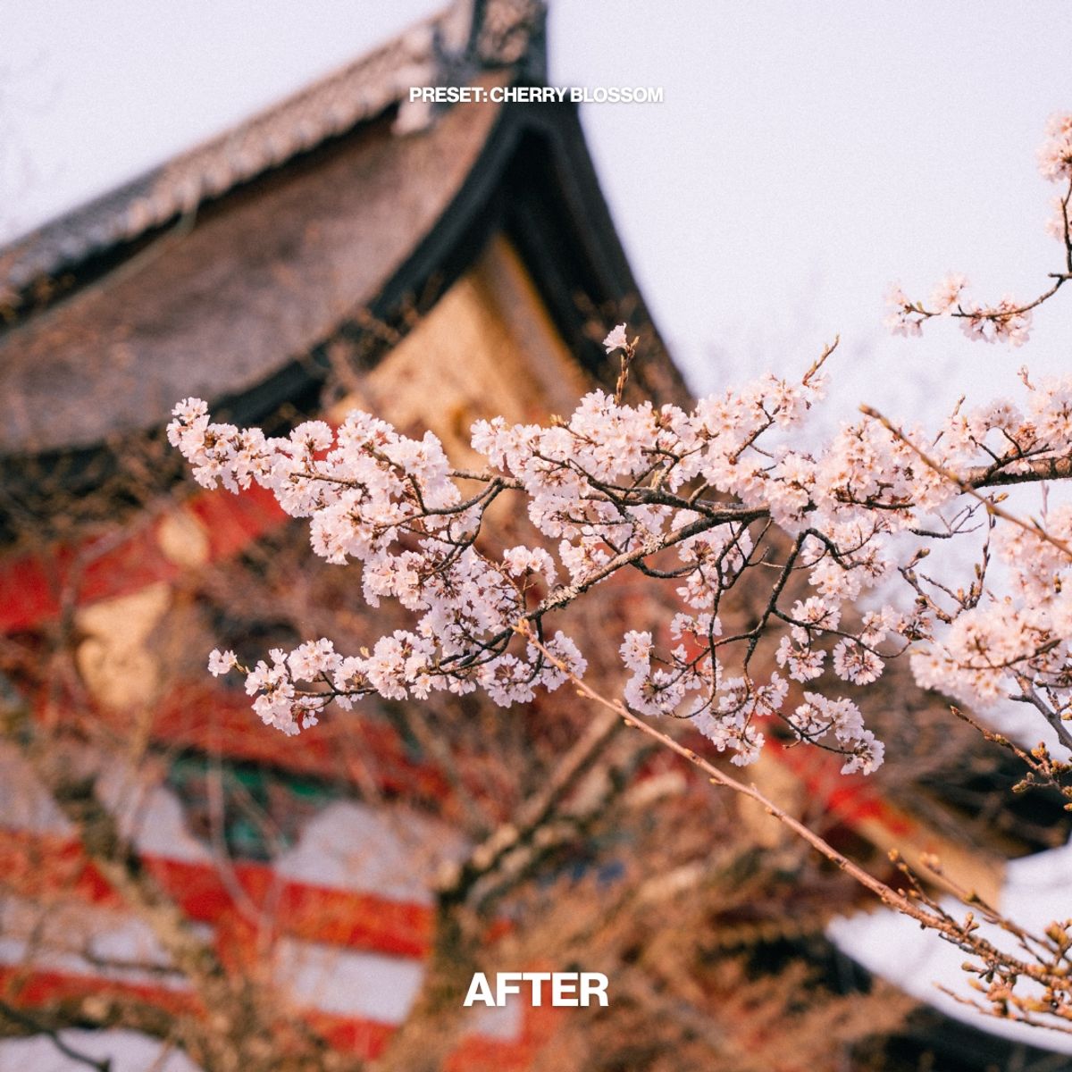 'The Cinematic Pack' Lightroom Preset Bundle