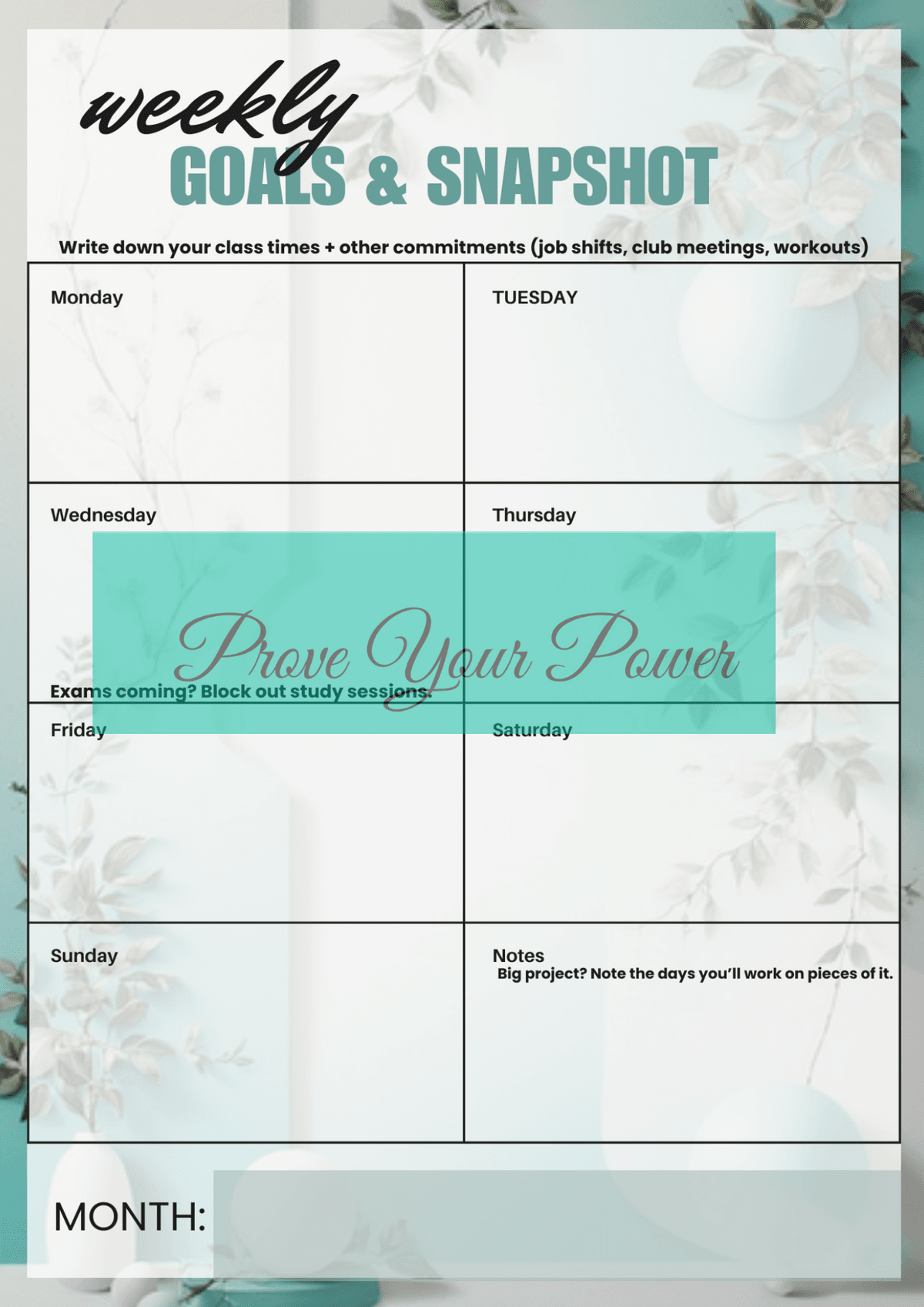 New Upload: The Academic Planner Mini Pack (3 Pages)August's Free Resource