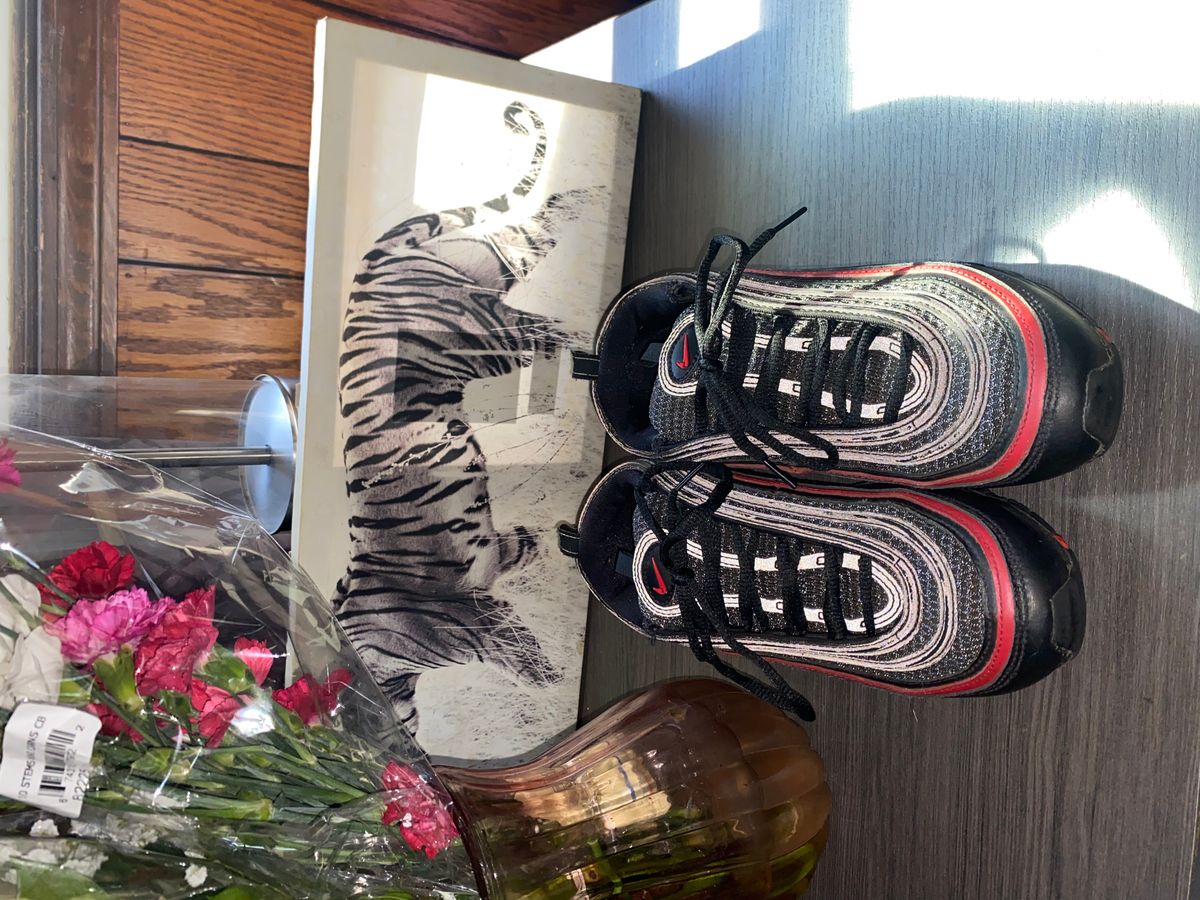 Size 8.5 Nike Air Max &ndash; Comfort Meets Style 👟