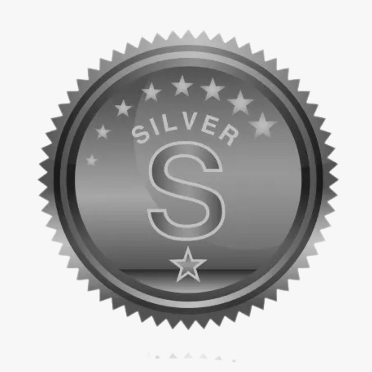 Silver Badge