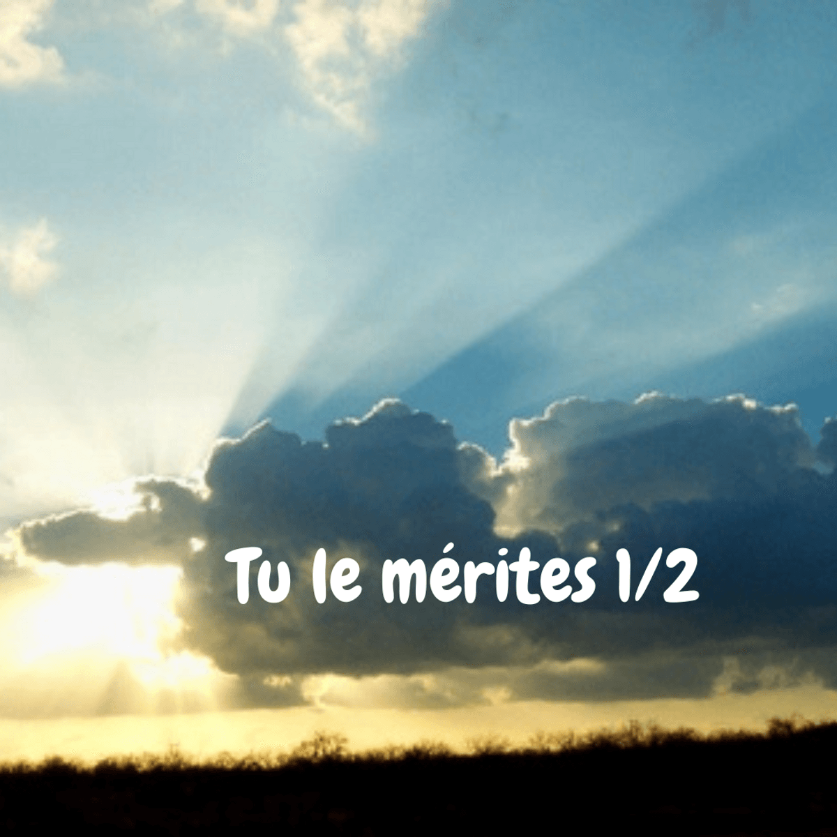 Po&egrave;me 19 :  Tu le m&eacute;rites ( partie 1 )