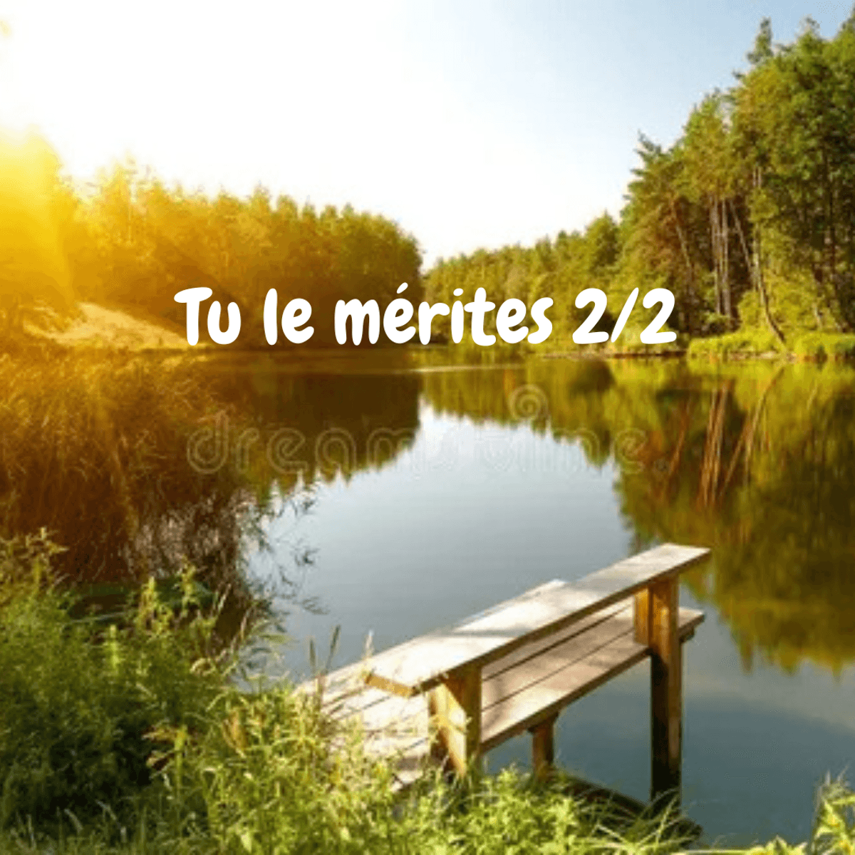 Po&egrave;me 20 :  Tu le m&eacute;rites ( partie 2 )