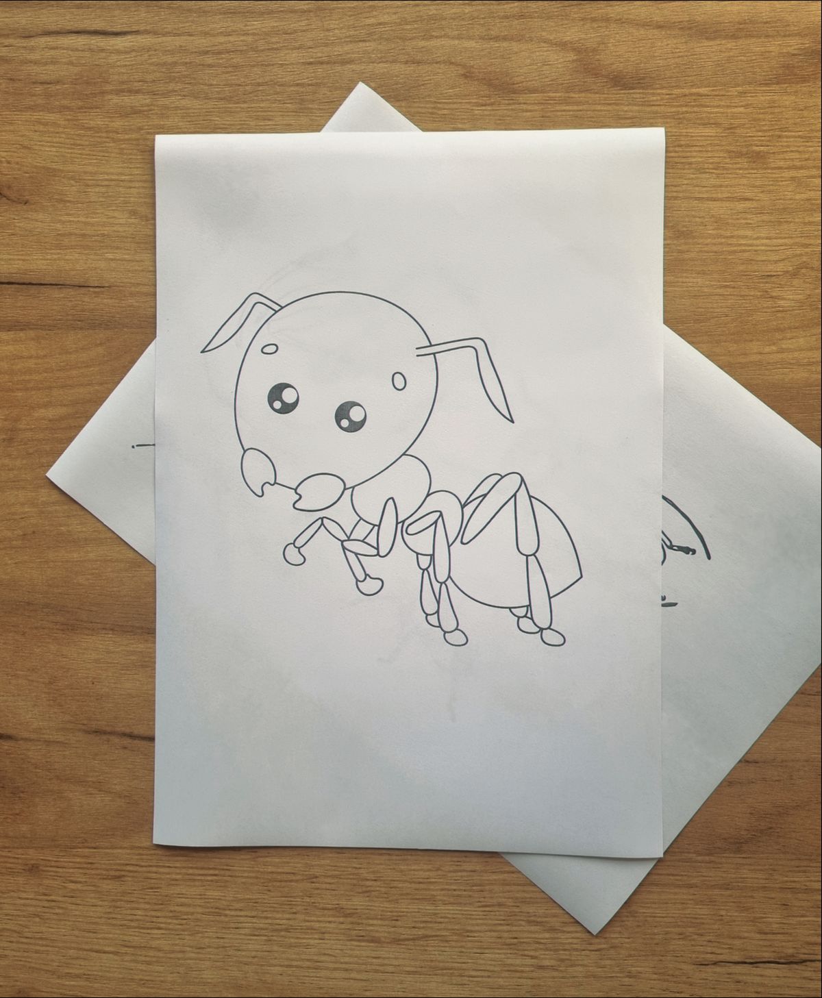 Free Ant Coloring Page