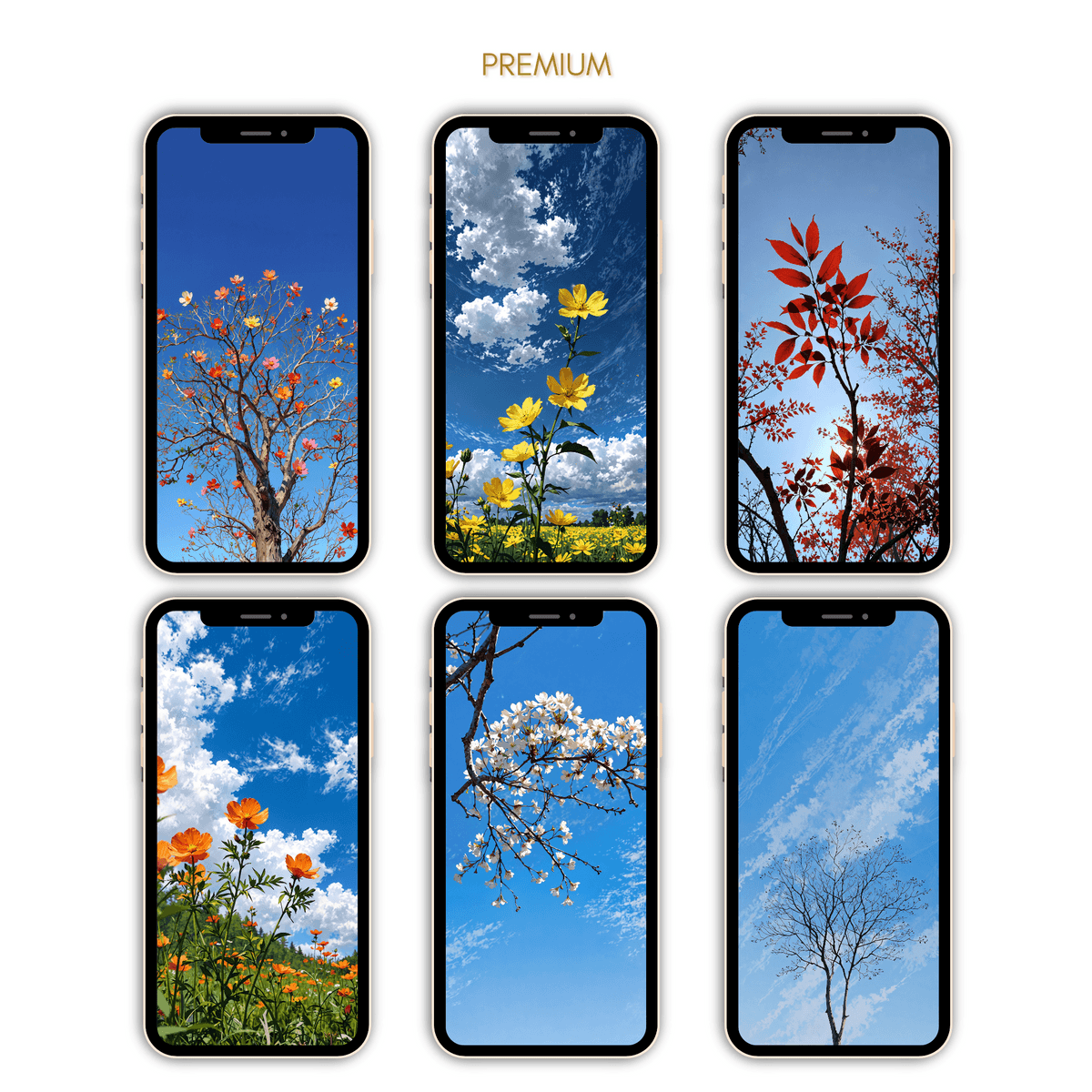 "Nature Blooms, Souls Rise" 🌿🌼☁️✨ 4k Wallpapers.