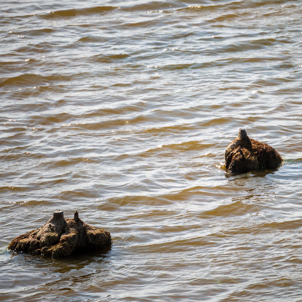 Twee rotsen in de stille wateren