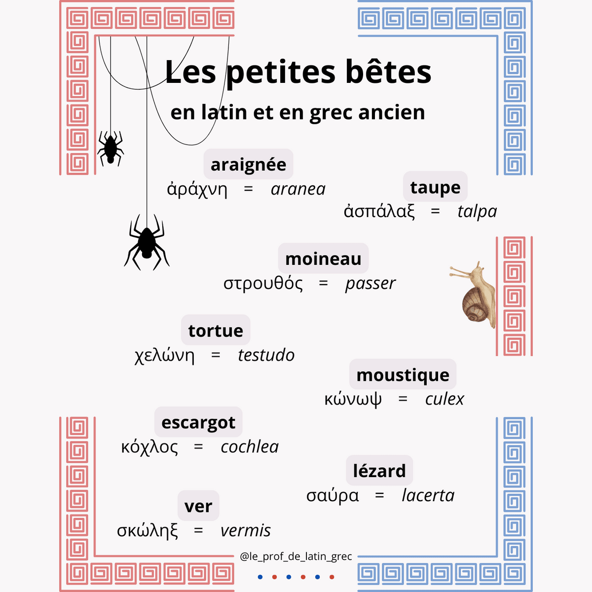 Fiche (PDF) "Les petites bêtes en latin et en grec ancien"