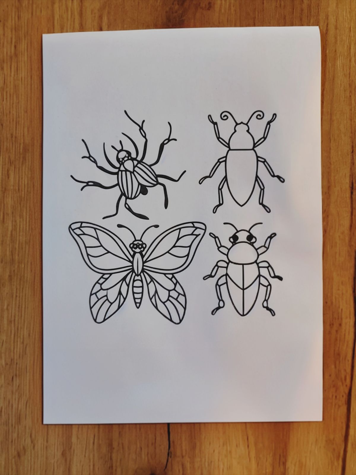 Free insect coloring page