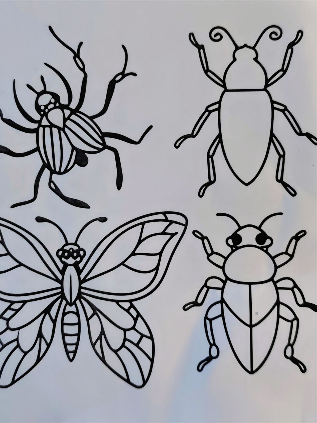 Free insect coloring page