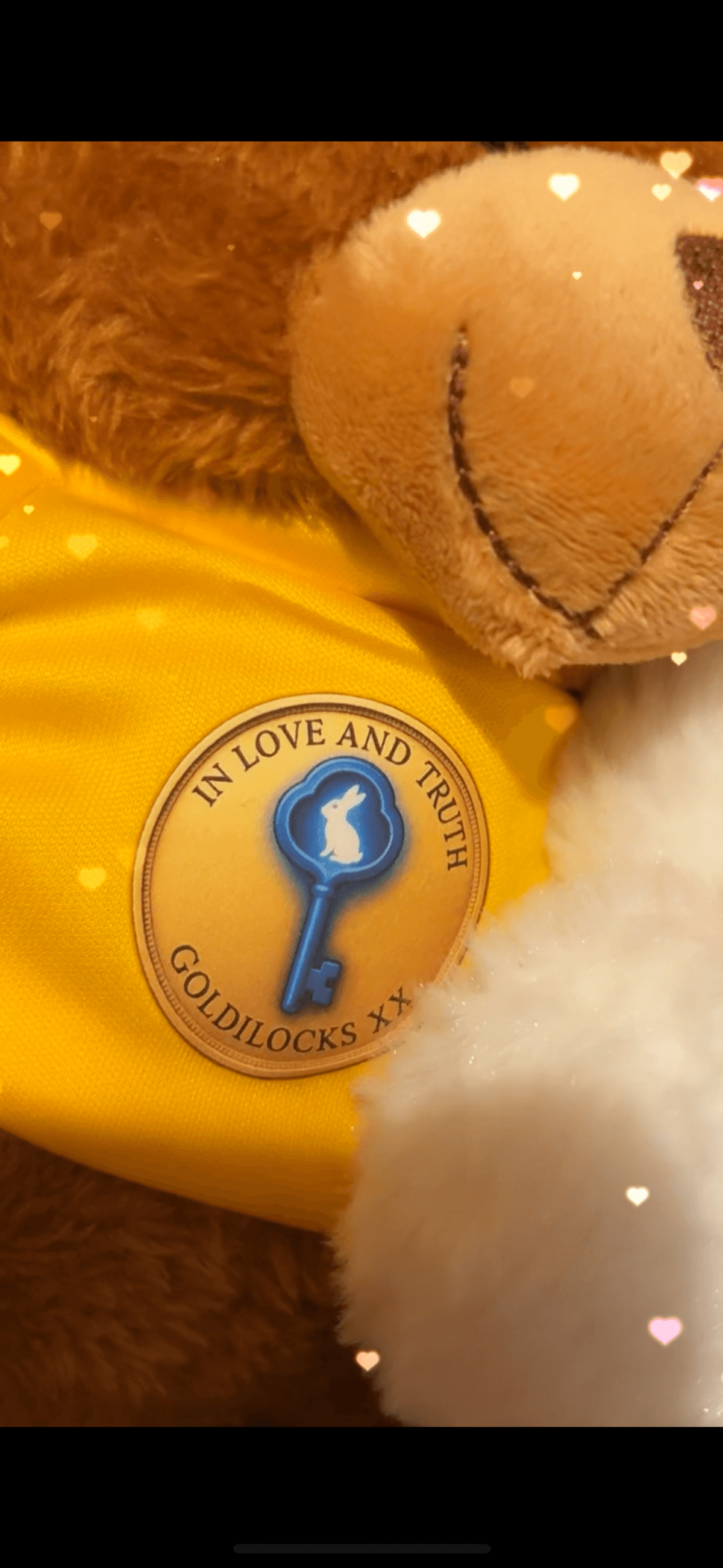 Goldilocks Bear