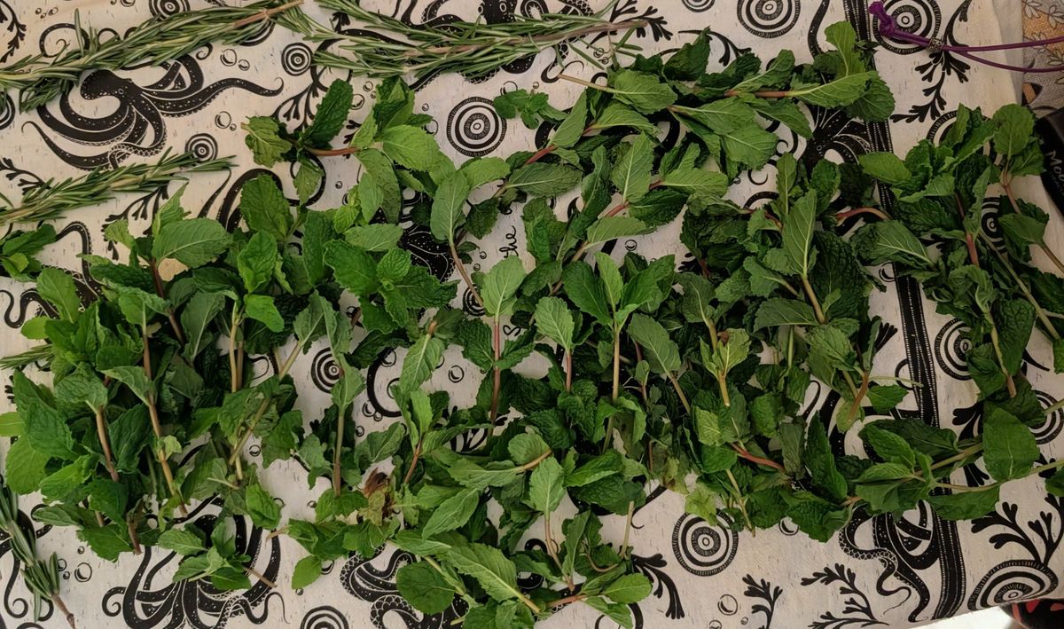 Bless This Mess: Rosemary Mint Protection Oil