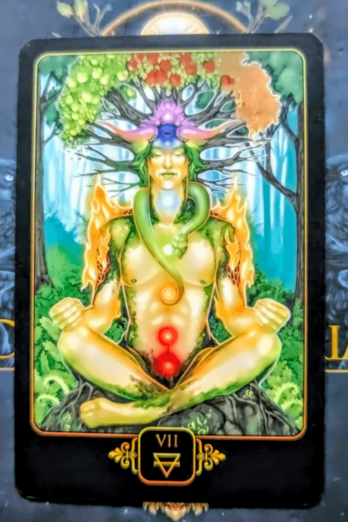 Pathway to Clarity: Life Coaching Session & Deep Energy Clearing (1+ hour)