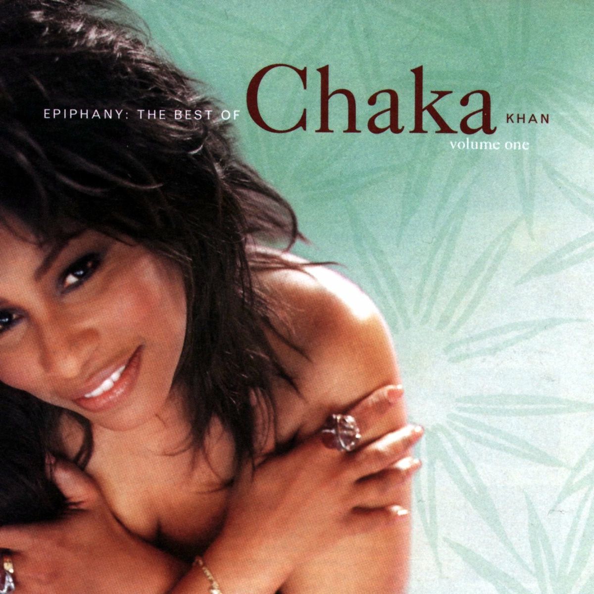 Chaka Khan - Ain't Nobody (Isolated)