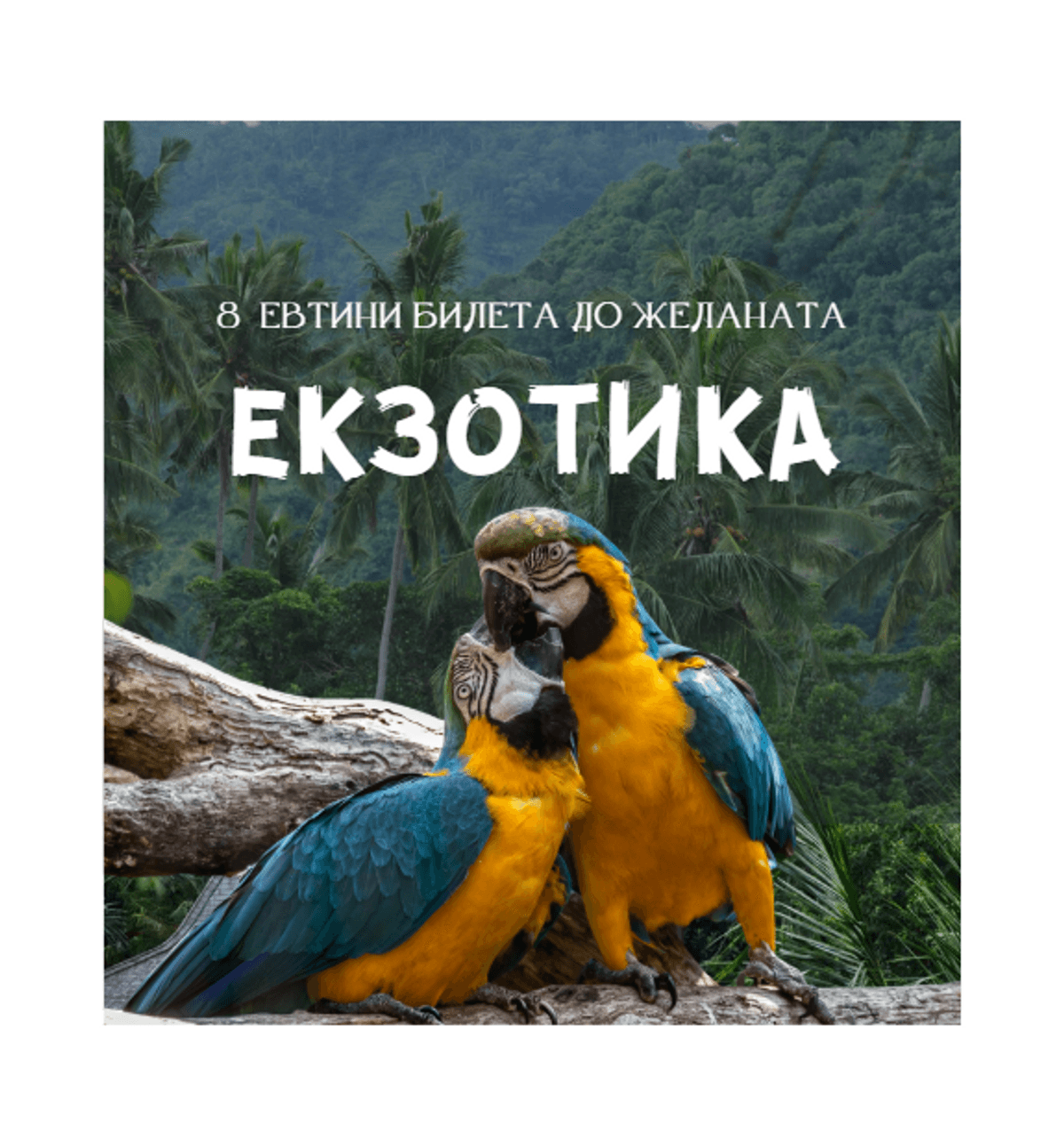 8 flights to Exotic destinations (BG)