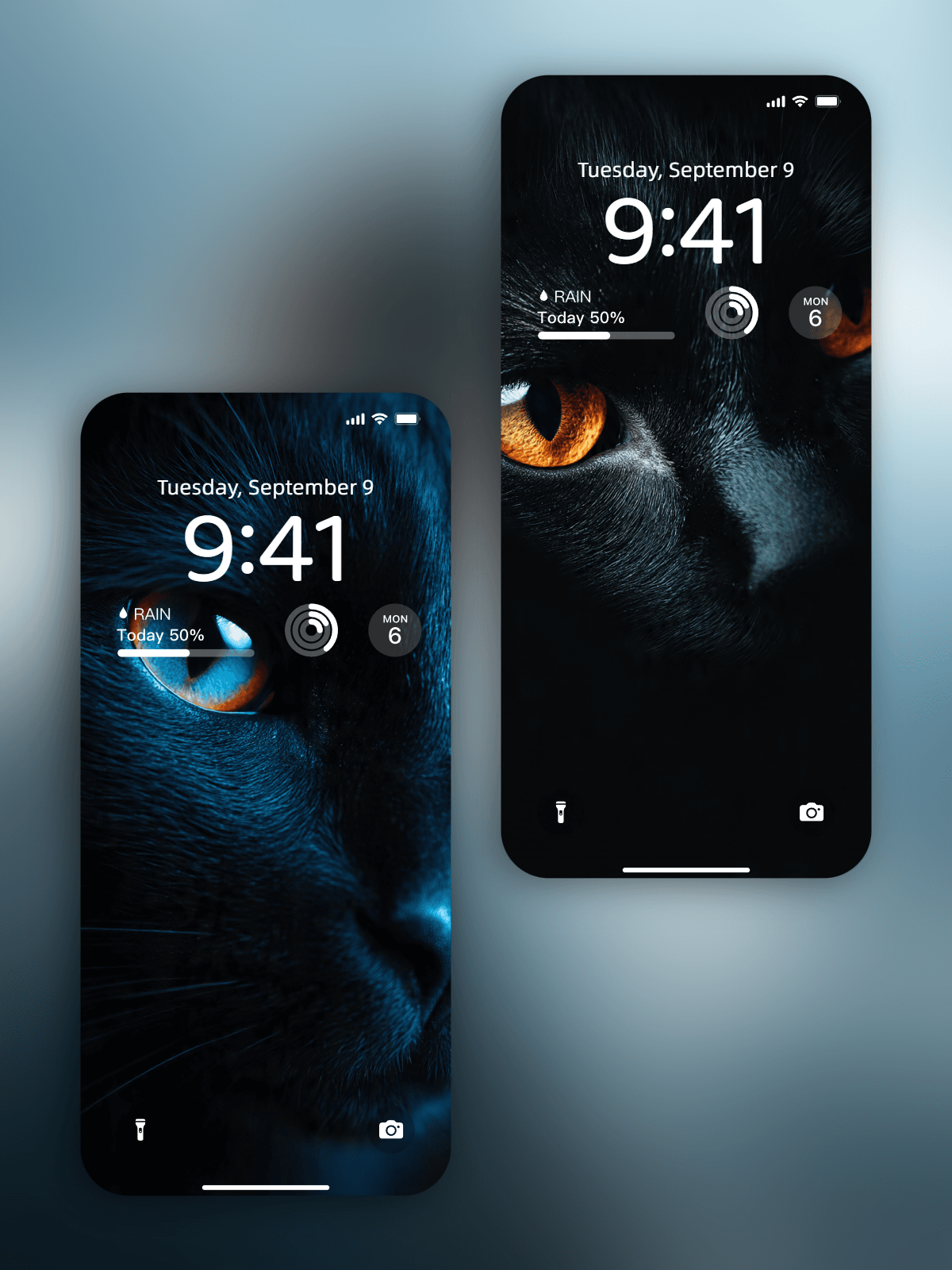 Mysterious Neon Cat &ndash; Pack de Wallpapers y Videos