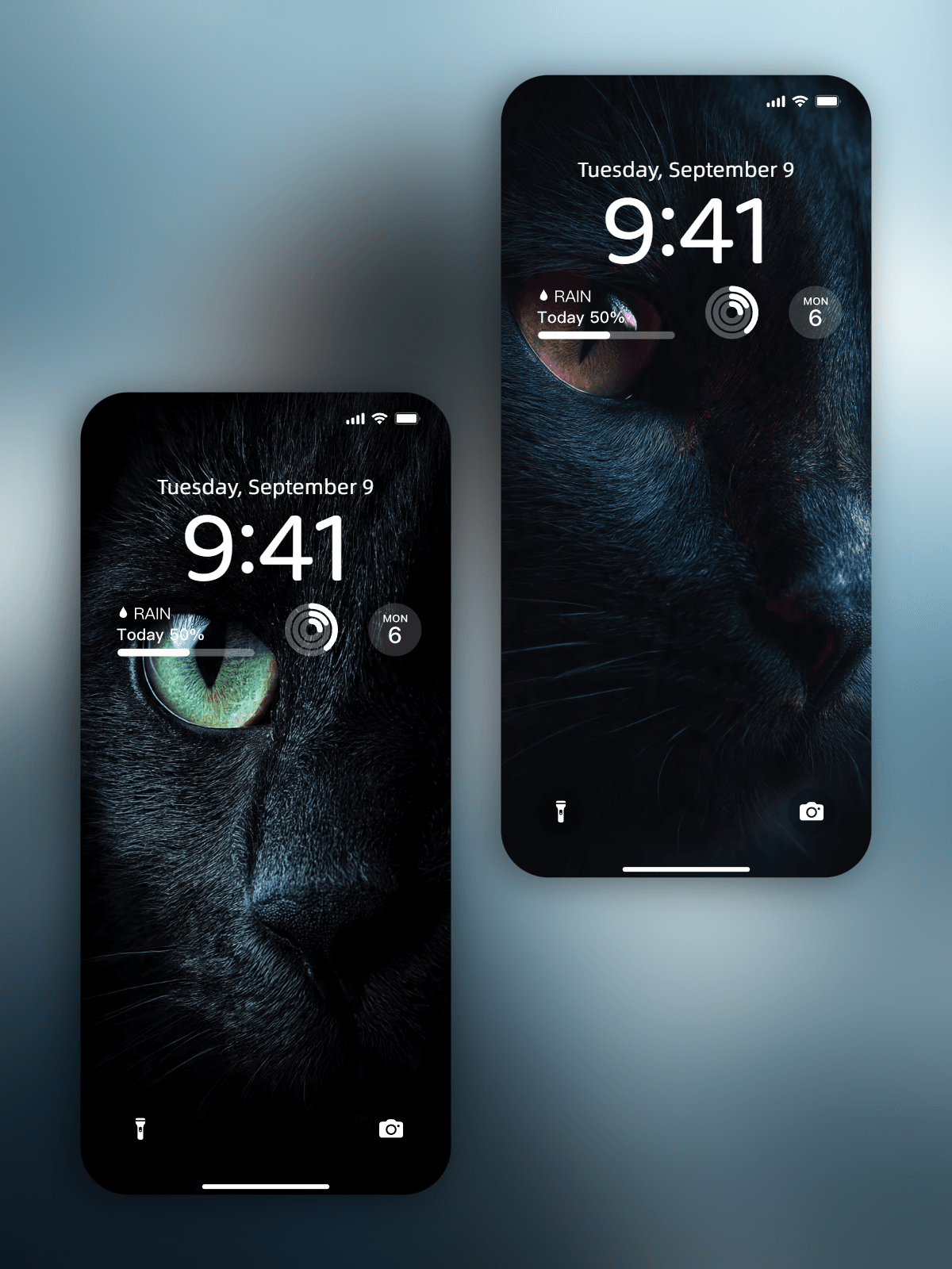 Mysterious Neon Cat &ndash; Pack de Wallpapers y Videos