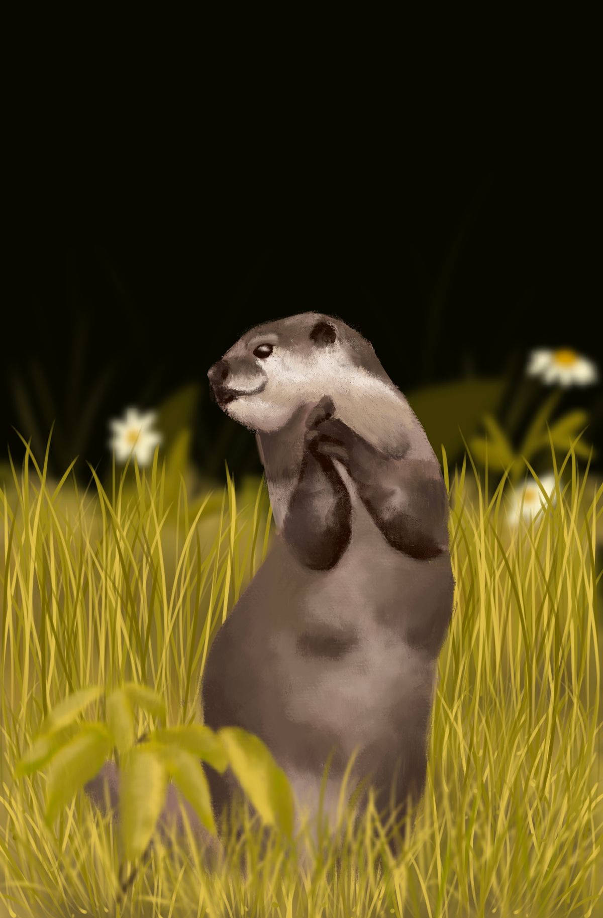 Lovely Otter - Digital Art Print