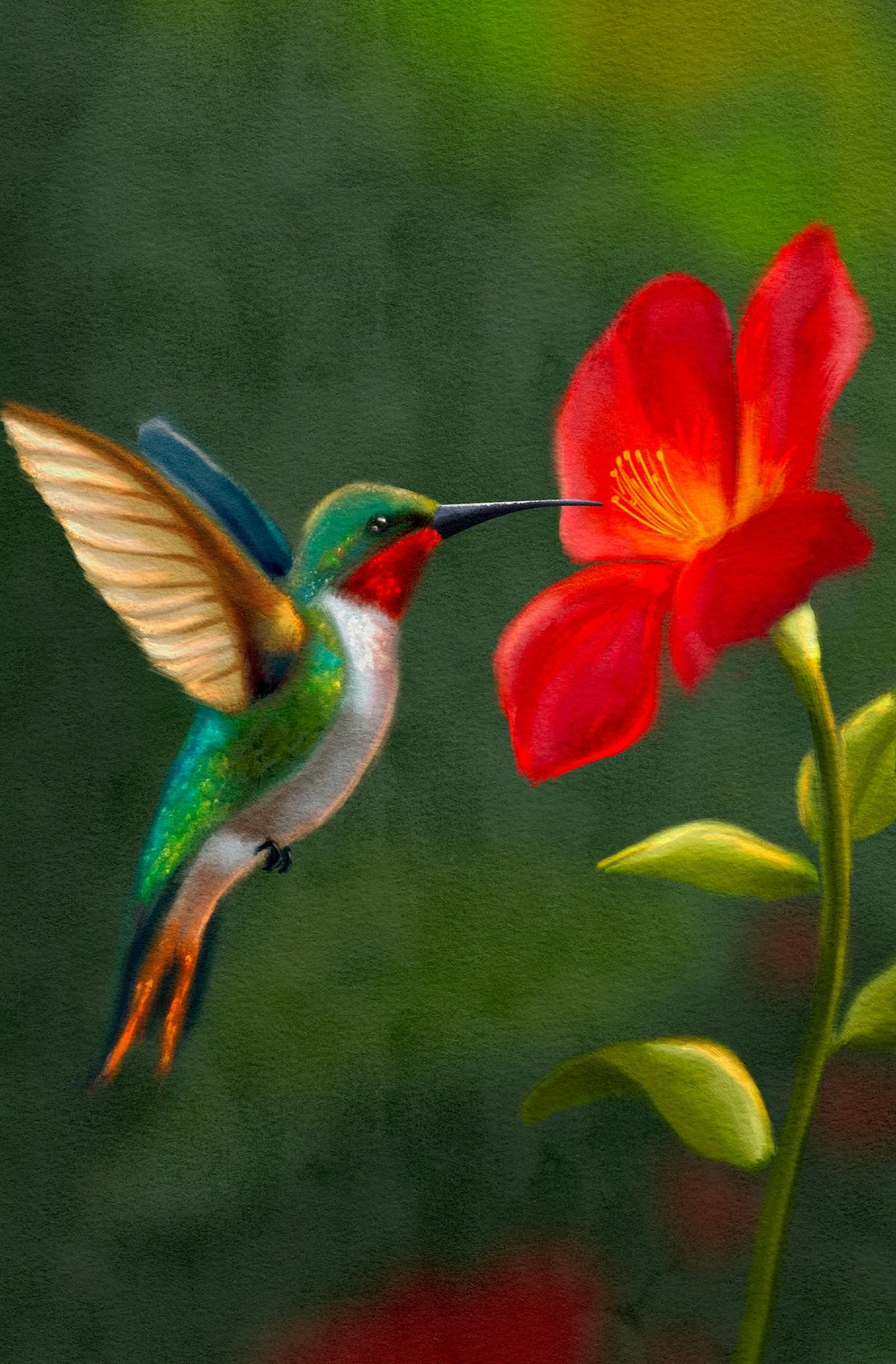 Vibrant Hummingbird - Digital Art Print
