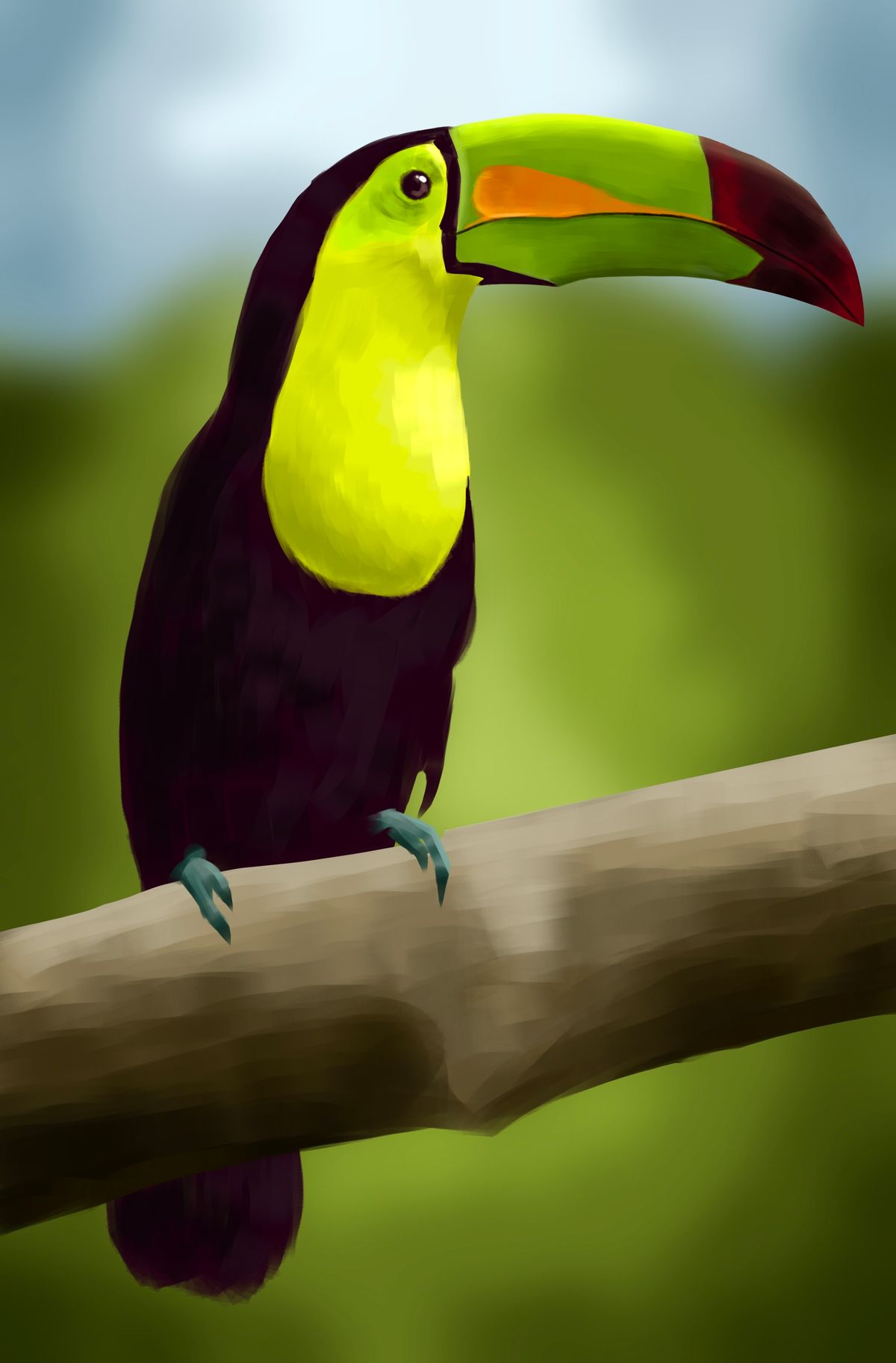 Colorful Toucan - Digital Art Print