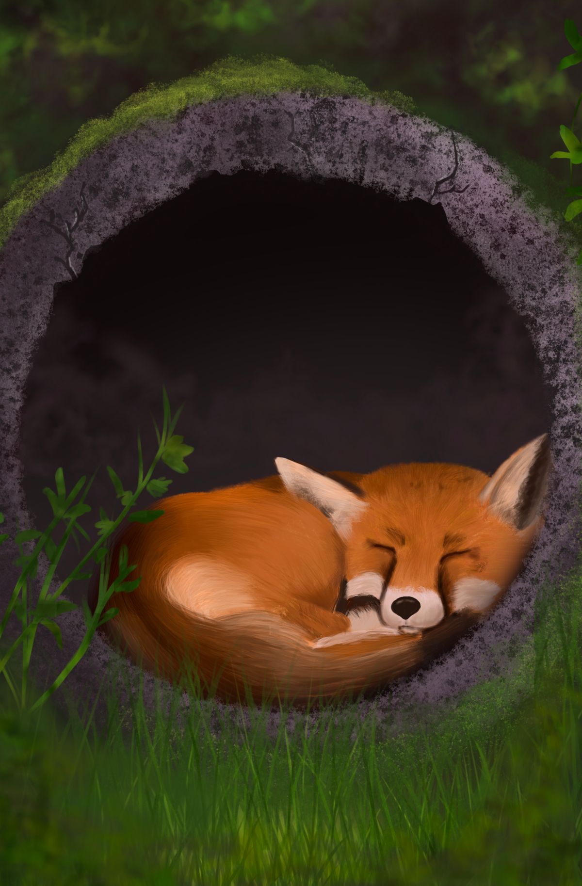 Sleepy Fox - Digital Art Print
