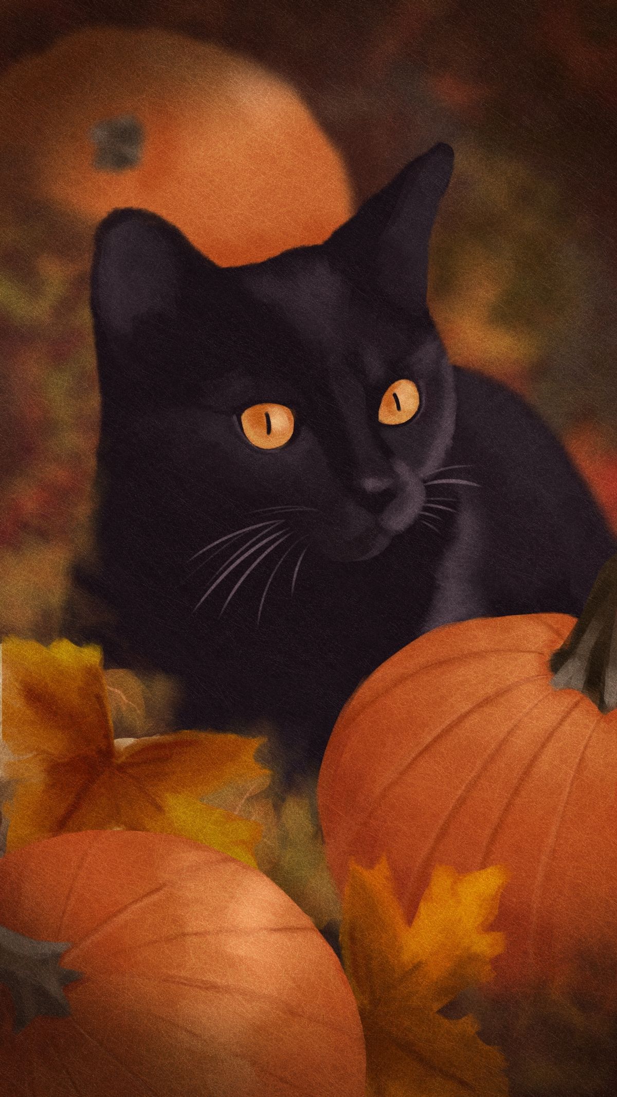 Black Cat in a Pumpkin Field - Digital Art Print