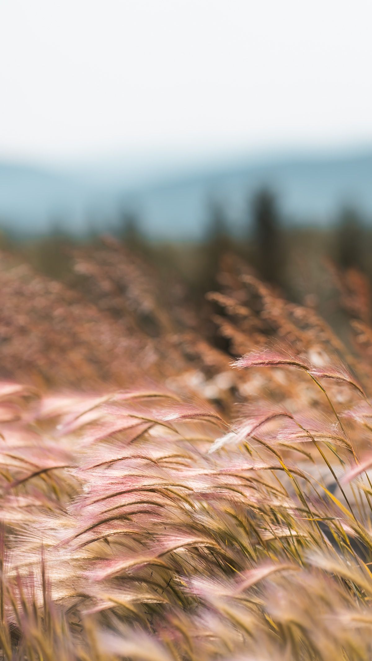 Road Wind