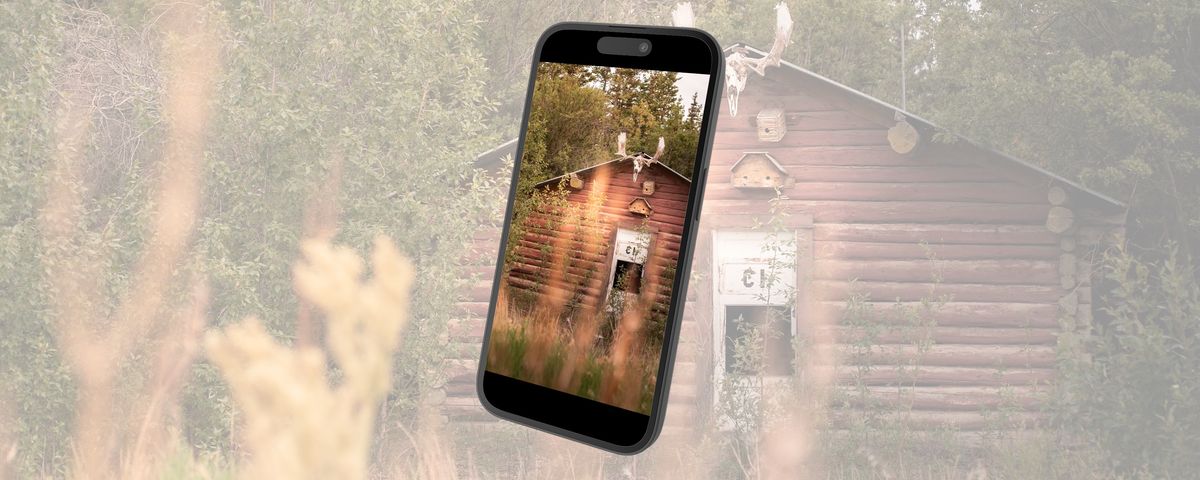 Forest Cabin