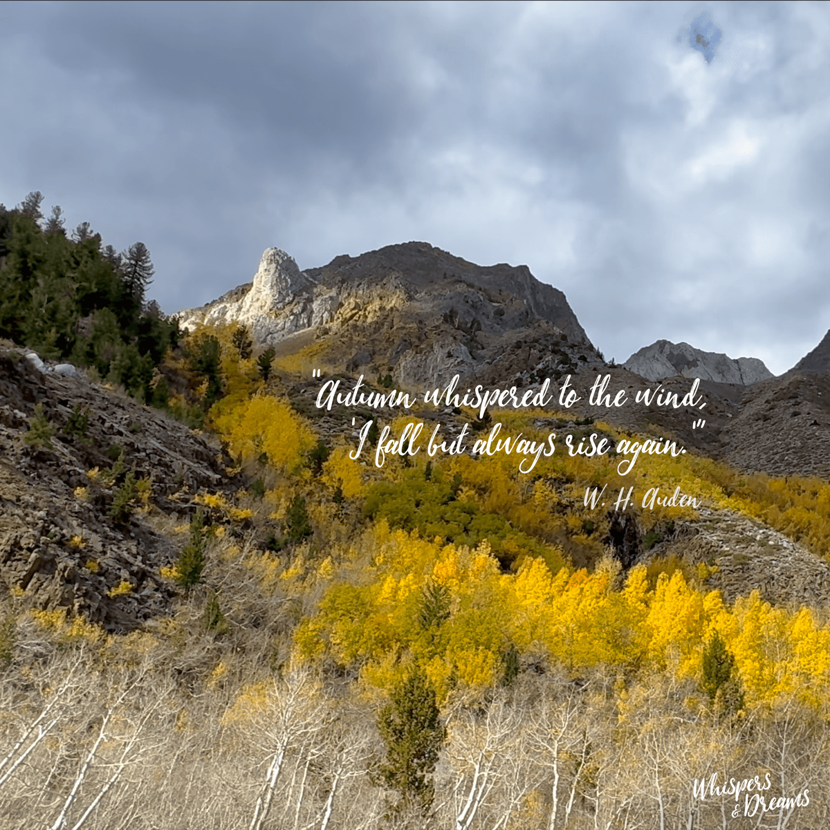 Wallpaper - Sierra Autumn Winds