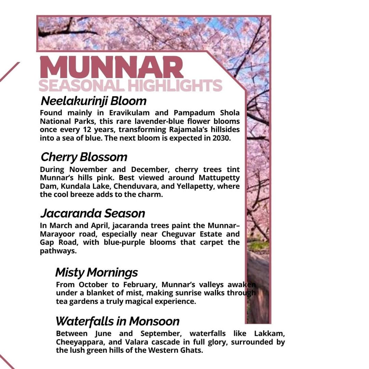 Munnar Travel Guide