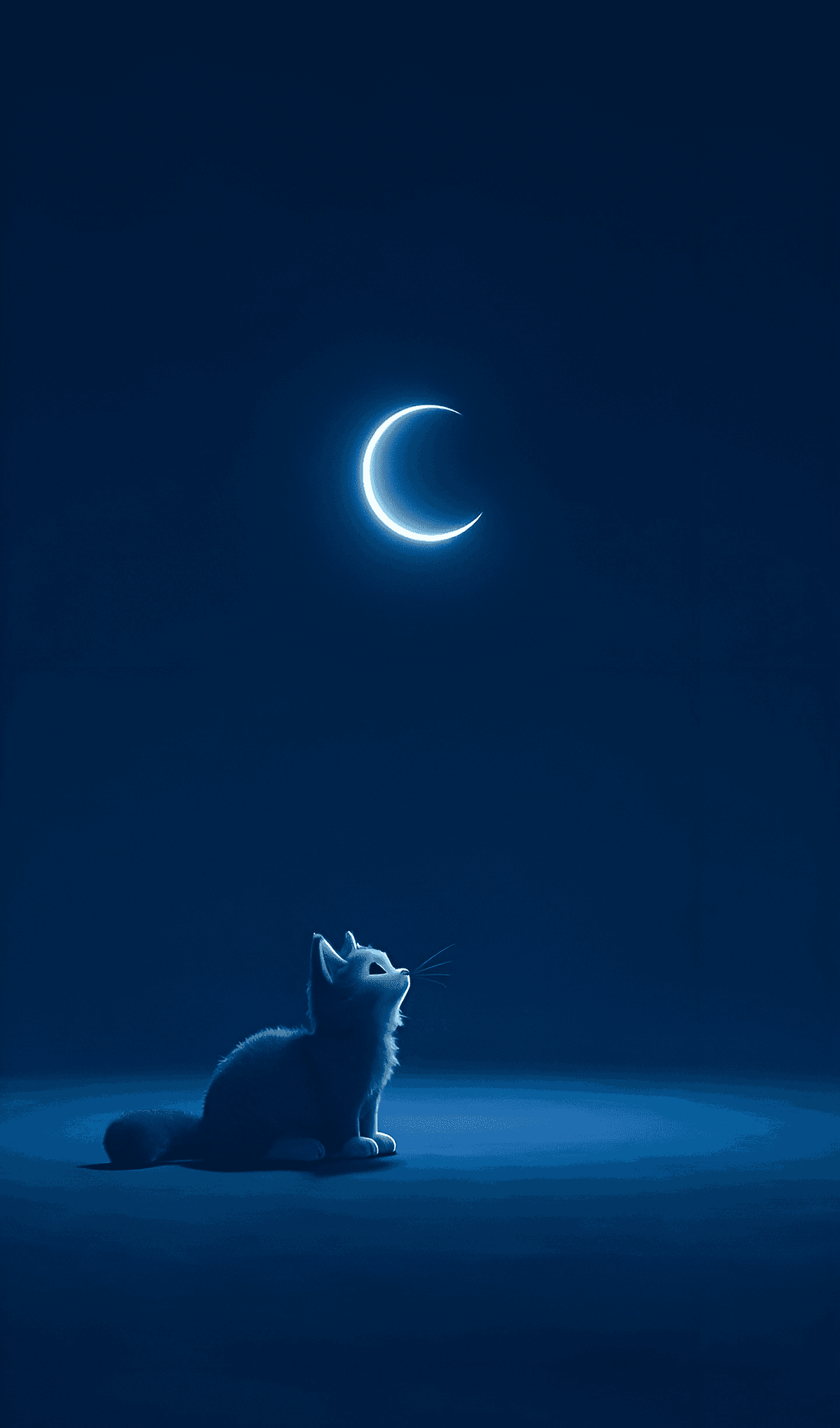 Cute Cats (part1)