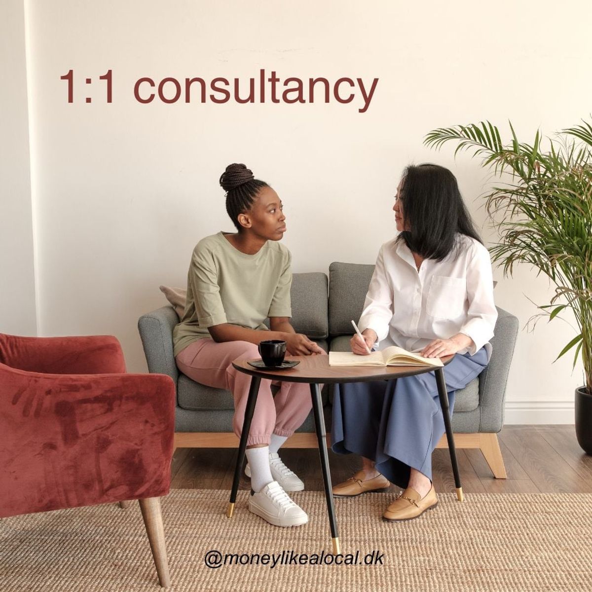 1:1 consultancy (60 min on Zoom)