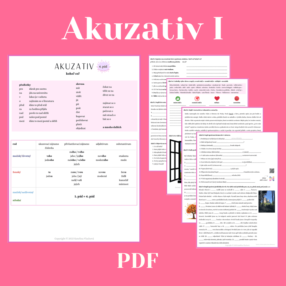 Akuzativ - 4. pad