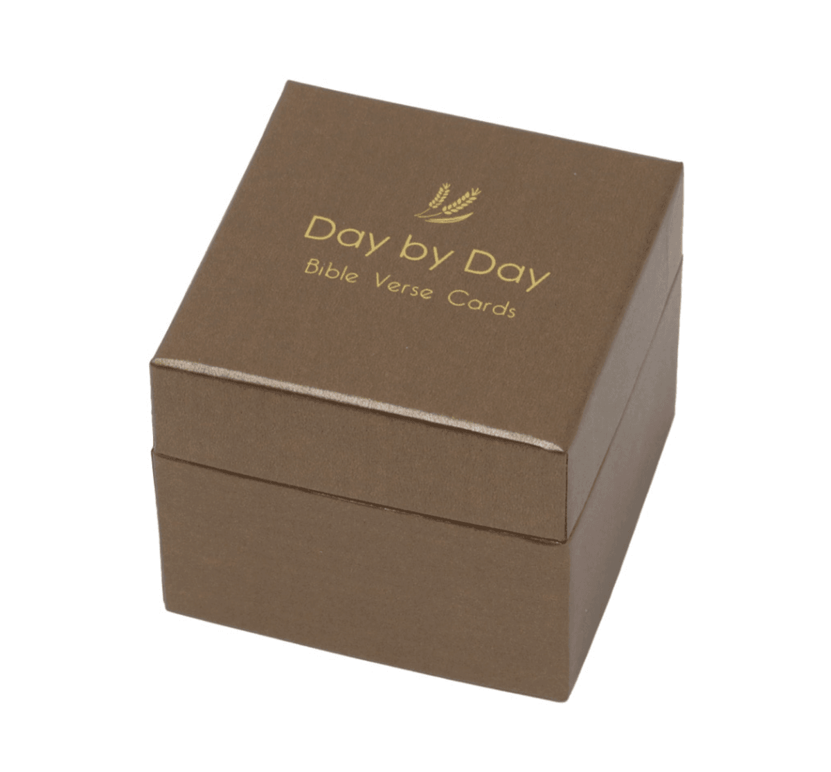 Daily Scripture Cards