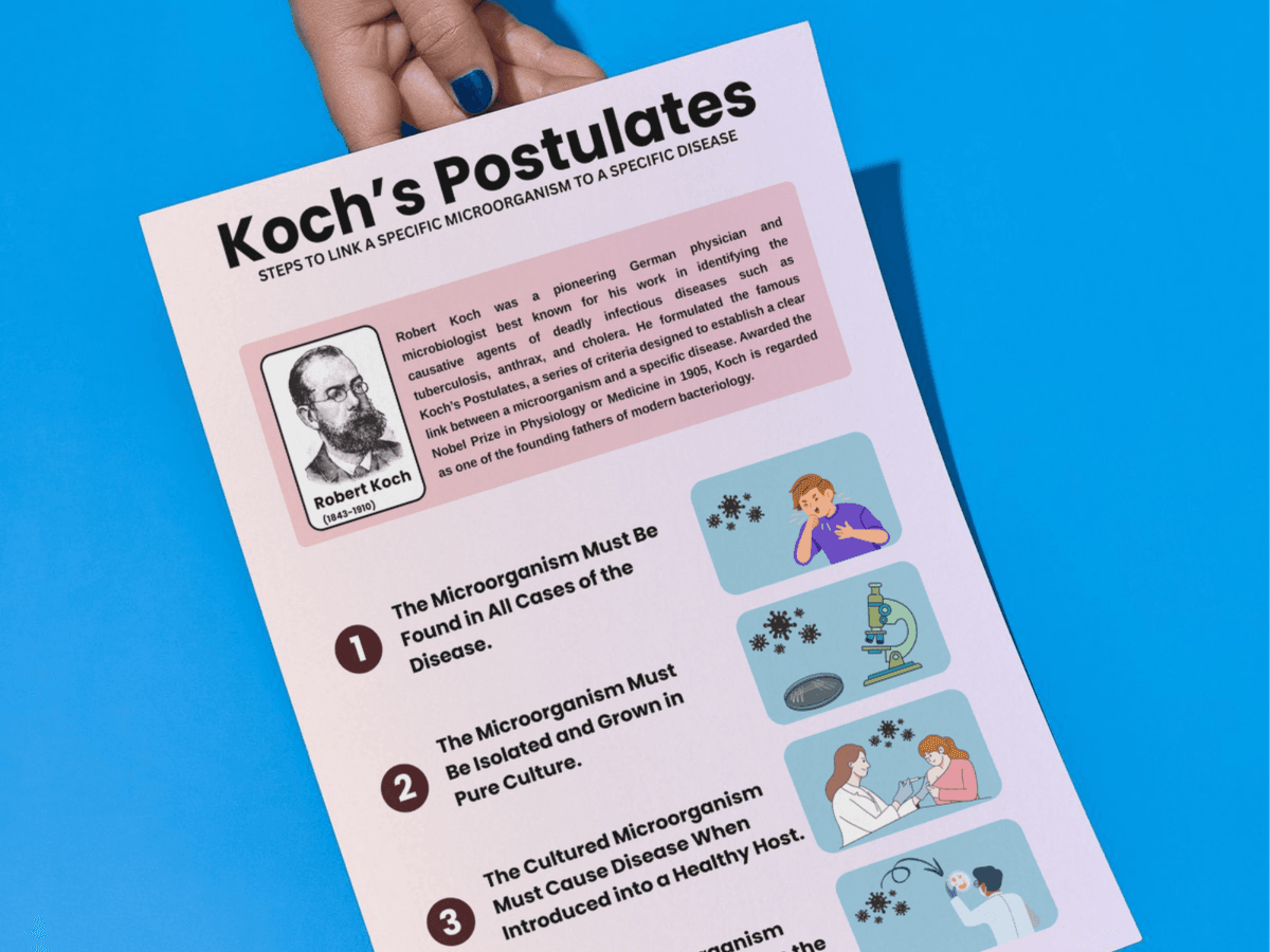 Koch’s Postulates – Infographic Poster (Digital Download)