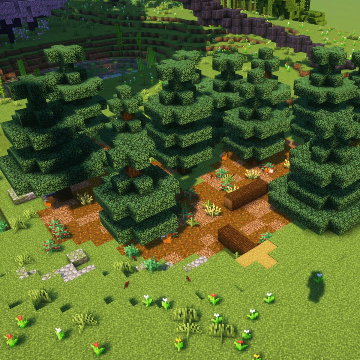 Honeyvale Haven