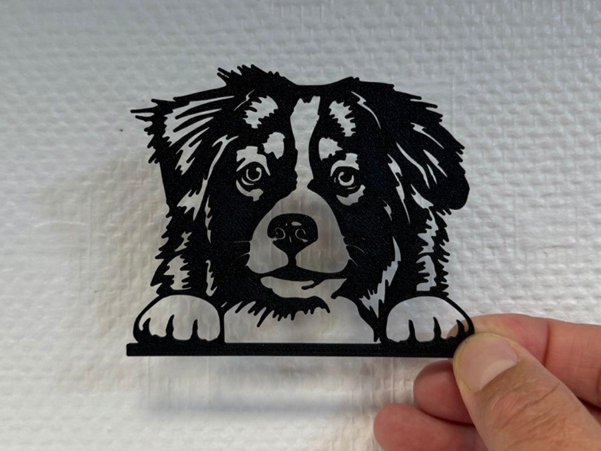 Pastore Australiano Dog Wall Art