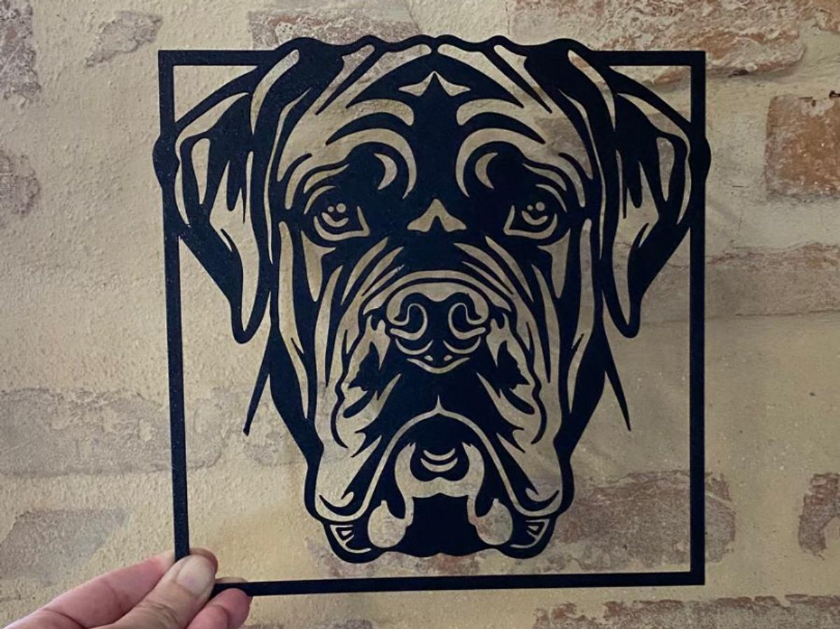 Cane Corso