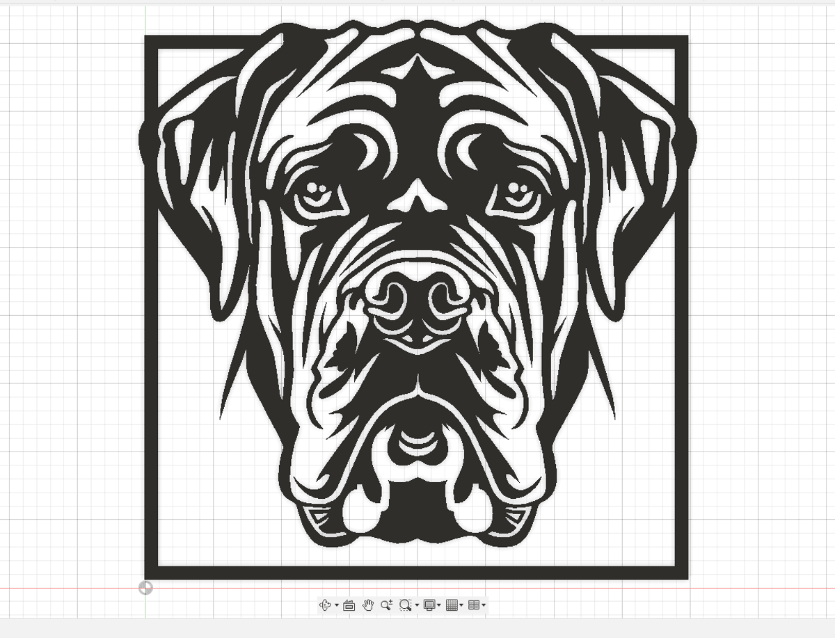Cane Corso