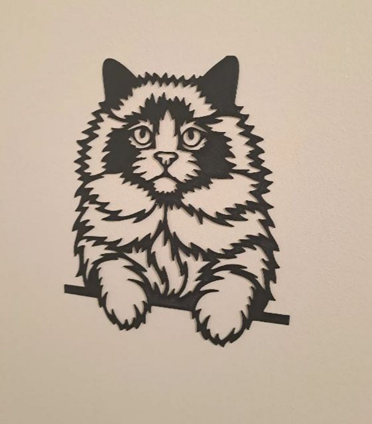 Gatto 25