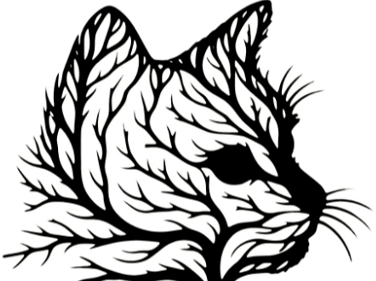 Gatto 33
