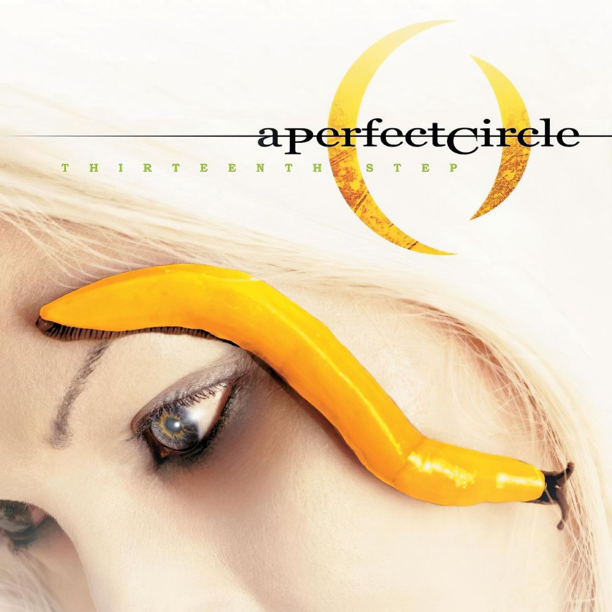 A Perfect Circle - Thirteenth Step Custom Album Cover [4K]